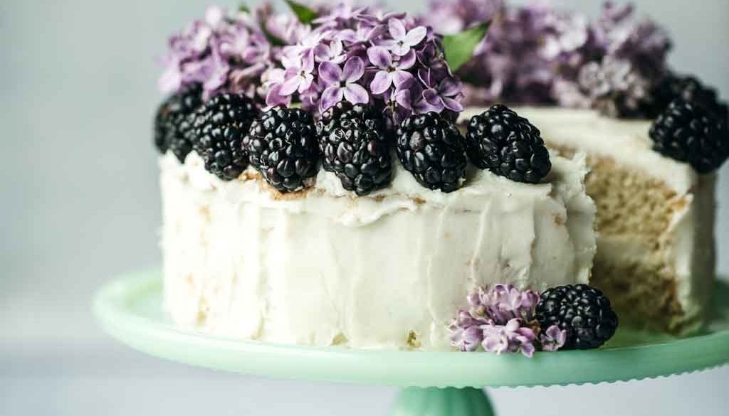 BLUEBERRY-CHEESE-CAKE